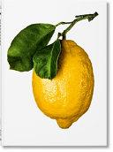 The Gourmand's Lemon                                                                                                                                  <br><span class="capt-avtor"> By:Gourmand, The                                     </span><br><span class="capt-pari"> Eur:40,63 Мкд:2499</span>
